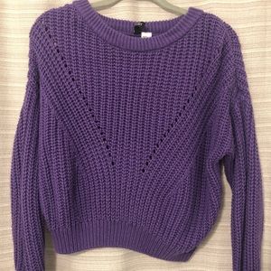 Purple Sweater